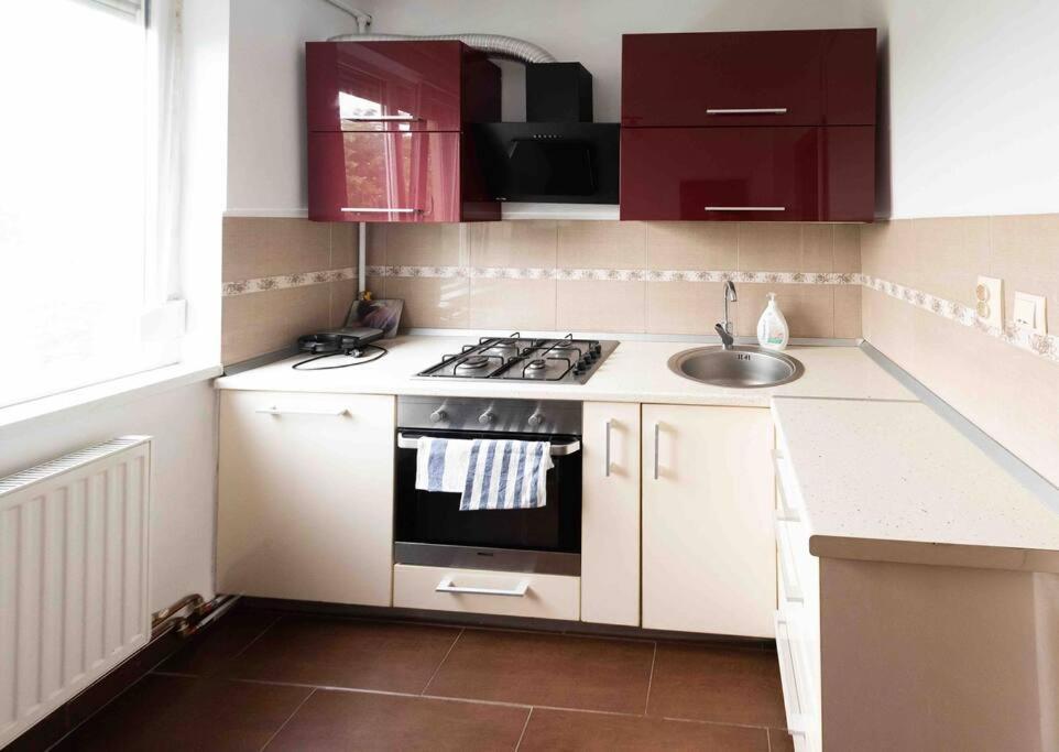 Apartmán Apartament Temešvár Exteriér fotografie